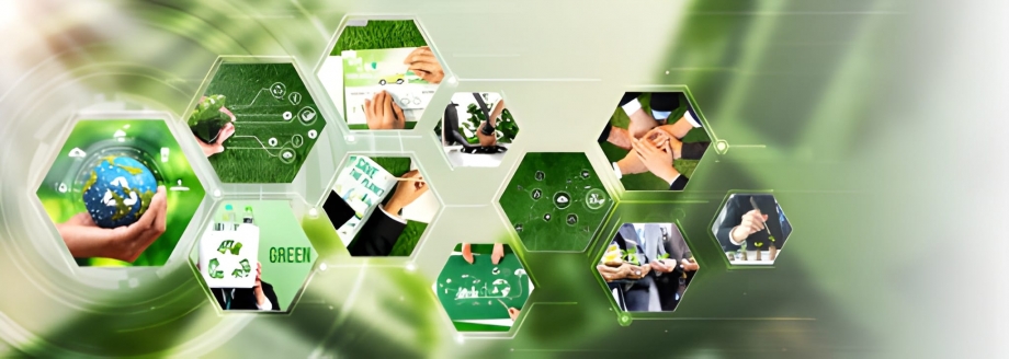 Eco-Friendly Business Practices That Also Save Money