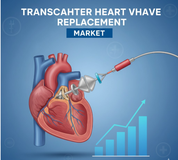 Transcatheter Heart Valve Replacement Market Share Analysis, Pricing Trends, and Future Growth Outlook, 2032
