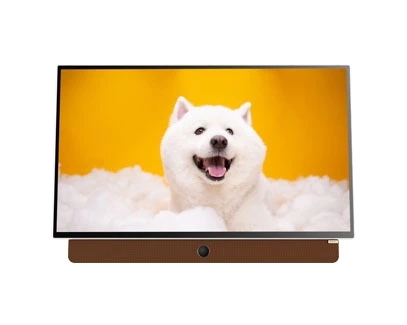 SKYWORTH Lifestyle TV Manufacturer